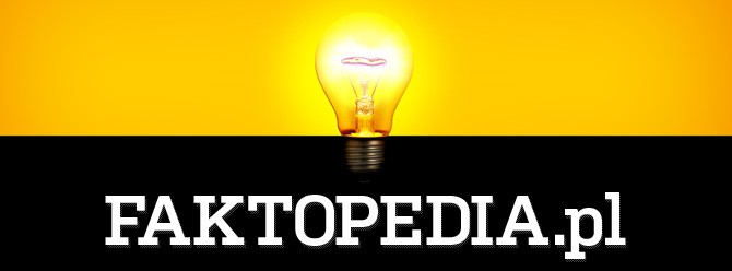 Faktopedia